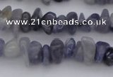 CCH659 15.5 inches 5*8mm - 6*10mm iolite gemstone chips beads