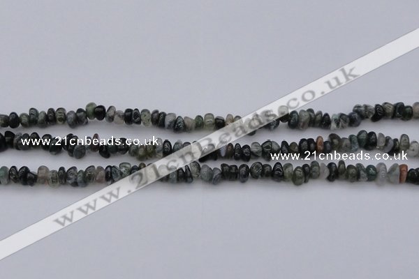 CCH663 15.5 inches 4*6mm - 5*8mm moss agate chips beads