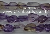 CCH674 15.5 inches 4*6mm - 5*8mm ametrine gemstone chips beads