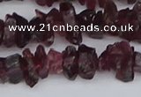 CCH704 15.5 inches 4*6mm - 6*8mm purple garnet chips beads