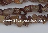 CCH705 15.5 inches 4*6mm - 6*8mm zircon chips beads wholesale