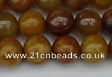 CCJ318 15.5 inches 10mm round China jade beads wholesale