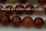 CCJ453 15.5 inches 10mm round colorful jasper beads wholesale