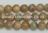 CCS304 15.5 inches 10mm round natural sunstone beads wholesale