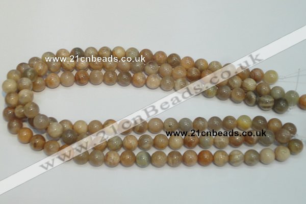 CCS304 15.5 inches 10mm round natural sunstone beads wholesale