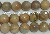 CCS305 15.5 inches 12mm round natural sunstone beads wholesale