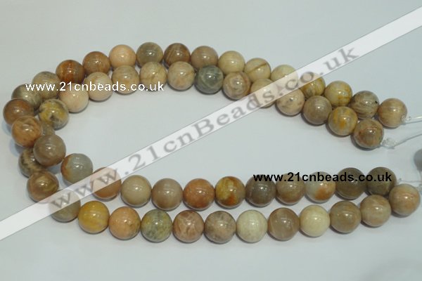 CCS306 15.5 inches 14mm round natural sunstone beads wholesale