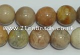 CCS307 15.5 inches 16mm round natural sunstone beads wholesale