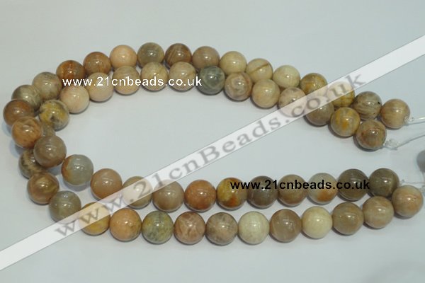 CCS307 15.5 inches 16mm round natural sunstone beads wholesale