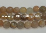 CCS311 15.5 inches 8mm faceted round natural sunstone beads