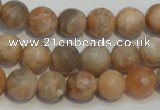 CCS312 15.5 inches 10mm faceted round natural sunstone beads