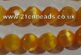 CCT378 15 inches 8mm faceted round cats eye beads wholesale