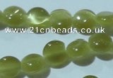 CCT459 15 inches 6mm flat round cats eye beads wholesale