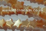 CCT808 15 inches 6mm star cats eye beads wholesale