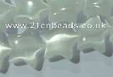 CCT860 15 inches 10mm star cats eye beads wholesale