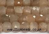 CCU1013 15 inches 4mm faceted cube sunstone beads