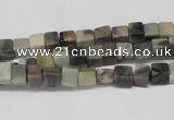 CCU16 15.5 inches 4*4mm cube silver leaf jasper beads wholesale