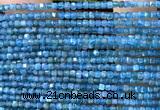 CCU1654 15 inches 2.5mm faceted cube apatite gemstone beads