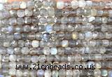 CCU1837 15 inches 4mm faceted cube labradorite gemstone beads