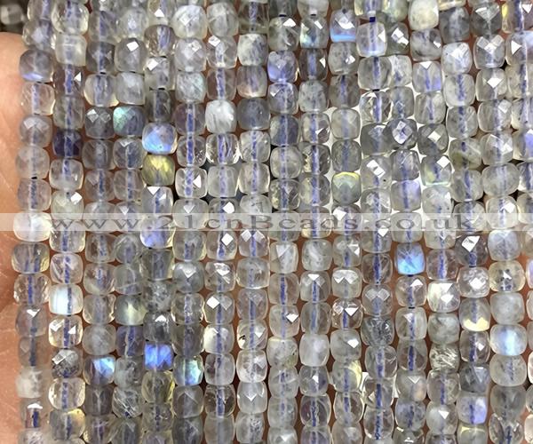 CCU1838 15 inches 4mm faceted cube labradorite beads wholesale