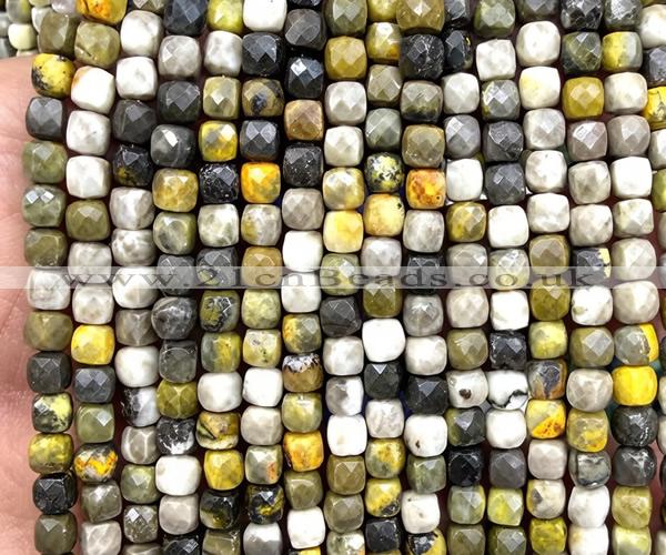 CCU1902 15 inches 4mm faceted cube honeybee jasper beads