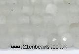 CCU830 15 inches 4mm faceted cube white moonstone beads