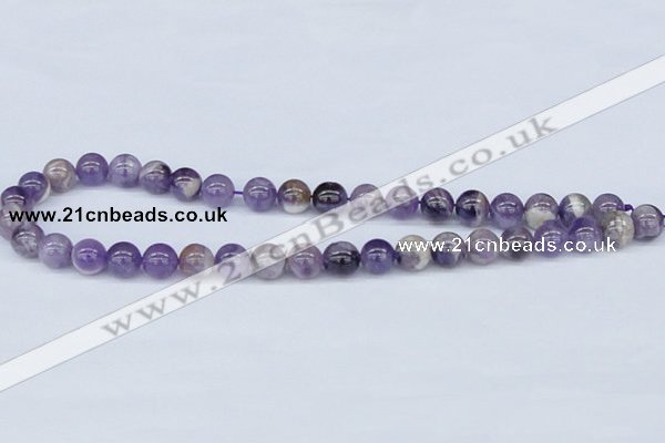 CDA53 15.5 inches 10mm round dogtooth amethyst beads wholesale