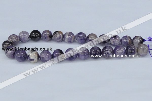 CDA56 15.5 inches 16mm round dogtooth amethyst beads wholesale