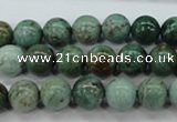 CDB42 15.5 inches 10mm round new dragon blood jasper beads