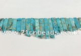 CDE1453 Top drilled 8*15mm - 10*60mm sticks sea sediment jasper beads