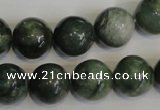 CDJ16 15.5 inches 14mm round Canadian jade beads wholesale