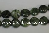 CDJ26 15.5 inches 10mm flat round Canadian jade beads wholesale