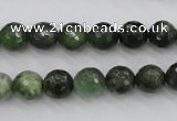 CDJ263 15.5 inches 10mm faceted round Canadian jade beads wholesale