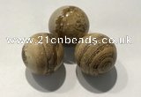 CDN1127 30mm round picture jasper decorations wholesale