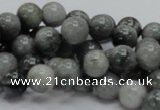 CEE05 15.5 inches 10mm round eagle eye jasper beads wholesale