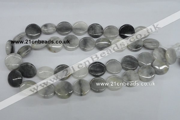 CEE203 15.5 inches 20mm flat round eagle eye jasper beads