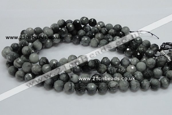 CEE22 15.5 inches 12mm faceted round eagle eye jasper beads wholesale