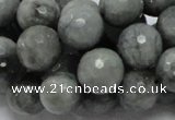 CEE23 15.5 inches 14mm faceted round eagle eye jasper beads wholesale