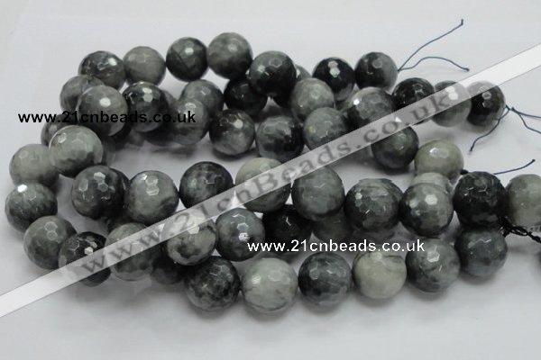 CEE25 15.5 inches 20mm faceted round eagle eye jasper beads wholesale