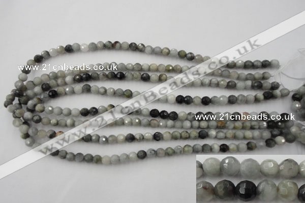 CEE351 15.5 inches 6mm faceted round eagle eye jasper beads