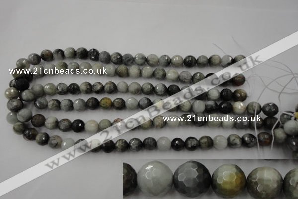 CEE353 15.5 inches 10mm faceted round eagle eye jasper beads