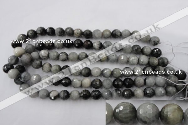 CEE354 15.5 inches 12mm faceted round eagle eye jasper beads