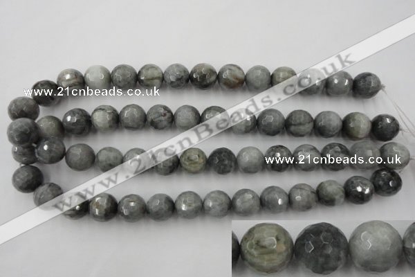 CEE355 15.5 inches 14mm faceted round eagle eye jasper beads