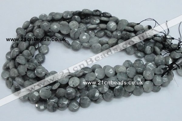 CEE37 15.5 inches 12mm faceted coin eagle eye jasper beads wholesale