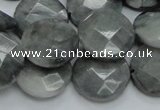 CEE38 15.5 inches 20mm faceted coin eagle eye jasper beads wholesale