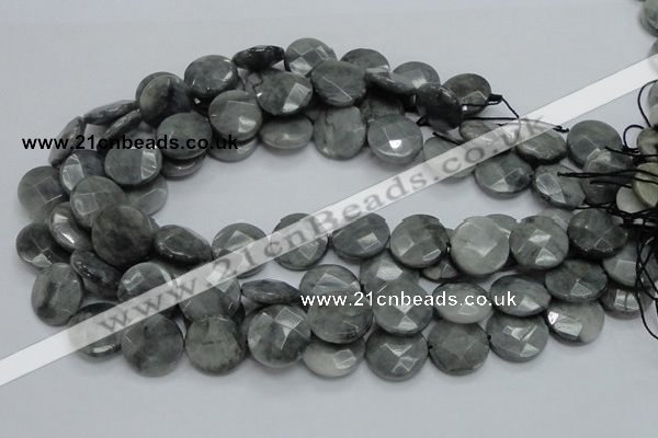 CEE38 15.5 inches 20mm faceted coin eagle eye jasper beads wholesale