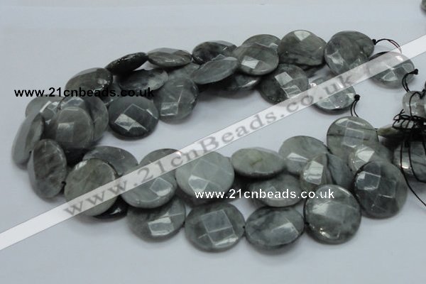 CEE39 15.5 inches 25mm faceted coin eagle eye jasper beads wholesale