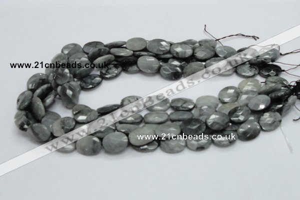 CEE42 15.5 inches 13*18mm faceted oval eagle eye jasper beads