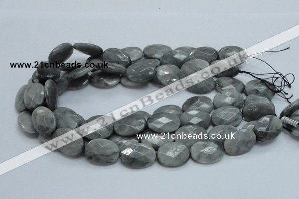 CEE43 15.5 inches 18*25mm faceted oval eagle eye jasper beads