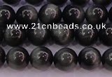 CEE503 15.5 inches 10mm round AAA grade green eagle eye jasper beads